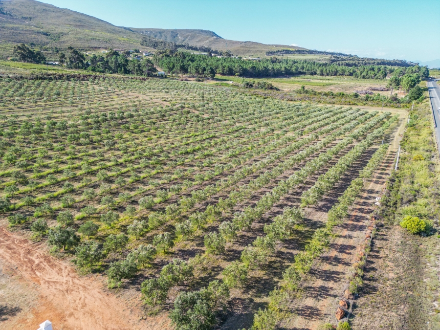 Commercial Property for Sale in Bot River Western Cape